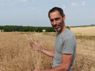 Les raisons de la baisse  de production dans l’Yonne