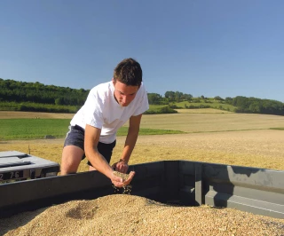 Une moisson rassurante