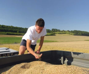 Une moisson rassurante