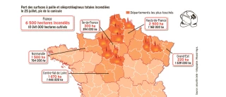 6 500 hectares incendiés en une journée