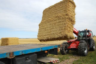 La FNSEA en appelle au pragmatisme