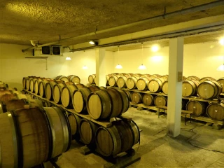 De la vigne au verre