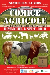 Une belle fête se prépare