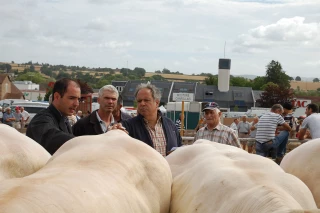 Un concours de qualité