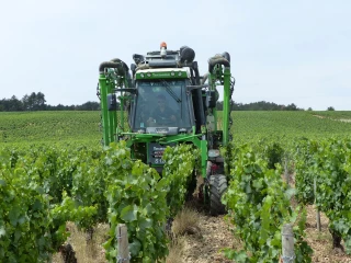 Tractoriste : un autre métier de la vigne