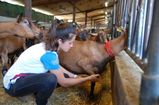 «J’ai toujours été passionnée par les animaux»