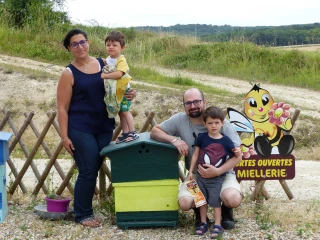 Les abeilles font les horaires décalés
