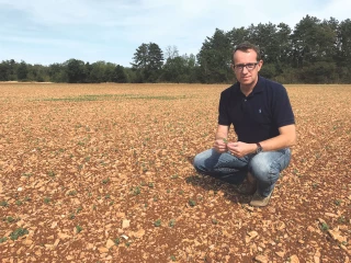 C’est la reprise