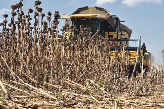 S’adapter à chaque situation pour récolter tous les quintaux