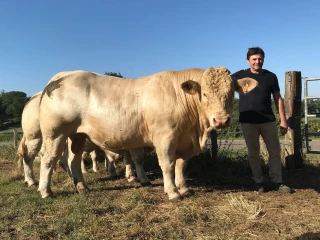 Une bonne génétique à acquérir