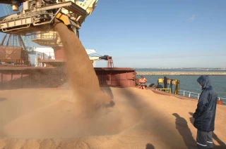 L’abondante moisson française devrait profiter à l’exportation