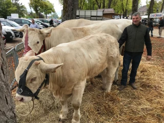 Une tradition respectée
