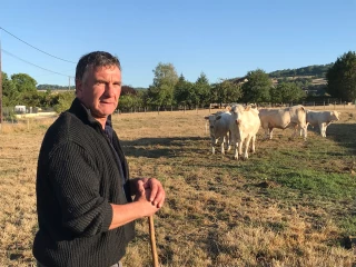 Ils sont nominés 