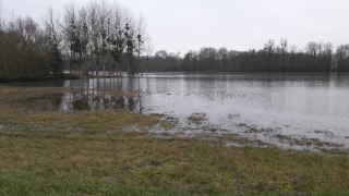 Des indemnisations pour les agriculteurs