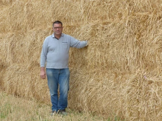 De la paille sur les bras