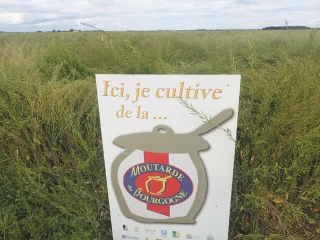 Recherche de surfaces en Bourgogne Franche-Comté