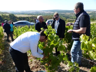L’actualité viticole explorée à travers la visite de domaines