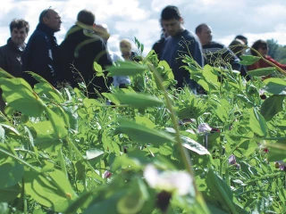Fertilisation : contribuer à la lutte contre le changement climatique