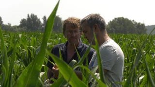 À la recherche de l’hybridation parfaite