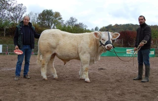 Le concours charolais Auxois sud se prépare 