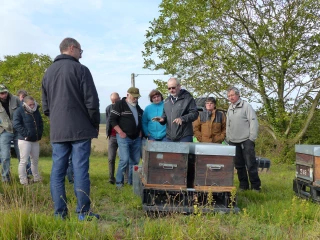 Des ruches au pot de miel, l’après travail des abeilles