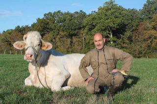 L’avantage du méteil