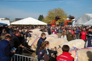Cercy-la-Tour : le concours s’annonce relevé