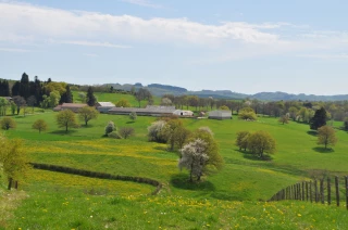 Une rencontre autour du bocage et de la haie