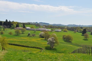 Une rencontre autour du bocage et de la haie