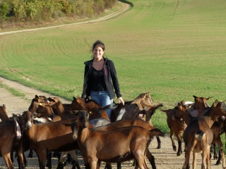 La ferme d’Ulteria au cœur d’un projet d’écosystème