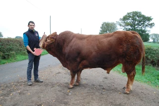 «Une belle promotion pour la race Limousine»