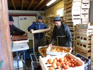 Retrouver le chemin de l’emploi grâce aux Jardins de la Croisière