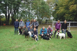 Une formation pour dresser son chien de troupeau