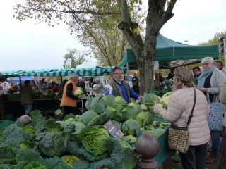 Les producteurs ont de quoi remplir les assiettes