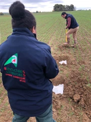 Le slip devient un outil  agronomique