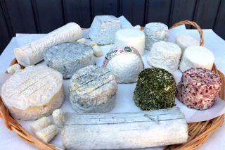 Le lait cru, première ligne de défense de notre système immunitaire