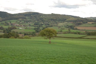 Une journée pour repenser le bocage