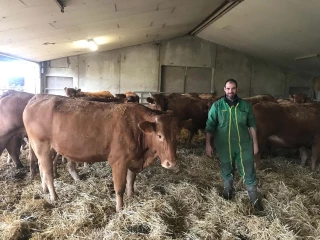 Vers l’éradication de la BVD 