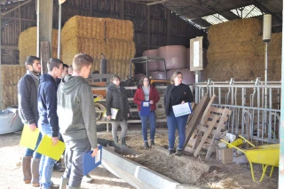 Les BTS Acse en visite au Herd-Book Charolais