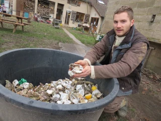 Quand les réveillons permettent l’innovation agricole