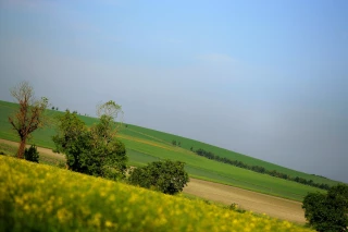 Des pistes à dix ans  pour l’agriculture européenne 