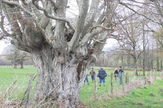 «Il n’y a pas d’agriculture durable  sans arbres»