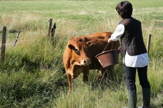 à l’écoute des femmes exploitantes
