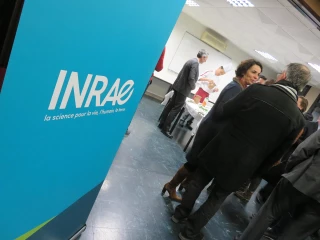 Au sein d’Inrae, la région joue sa partition