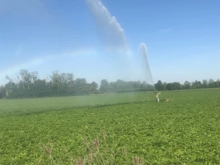 Une campagne en préparation