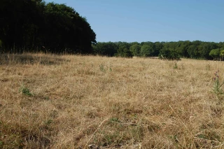 La Chambre d’agriculture se positionne