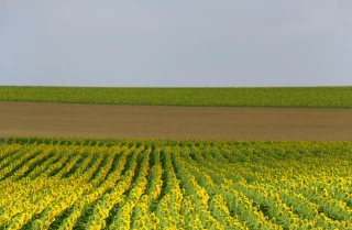 Permettre aux cultures  de se défendre