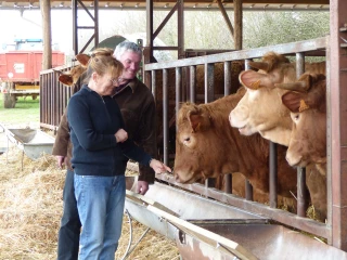 Des céréales aux bovins, il n’y a parfois qu’un pas