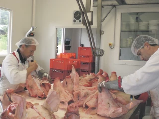 Cuma : quand adaptation rime avec satisfaction