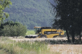 État des lieux des entreprises agricoles